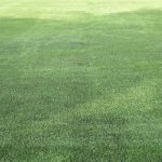 Andheri MUSS Football Ground